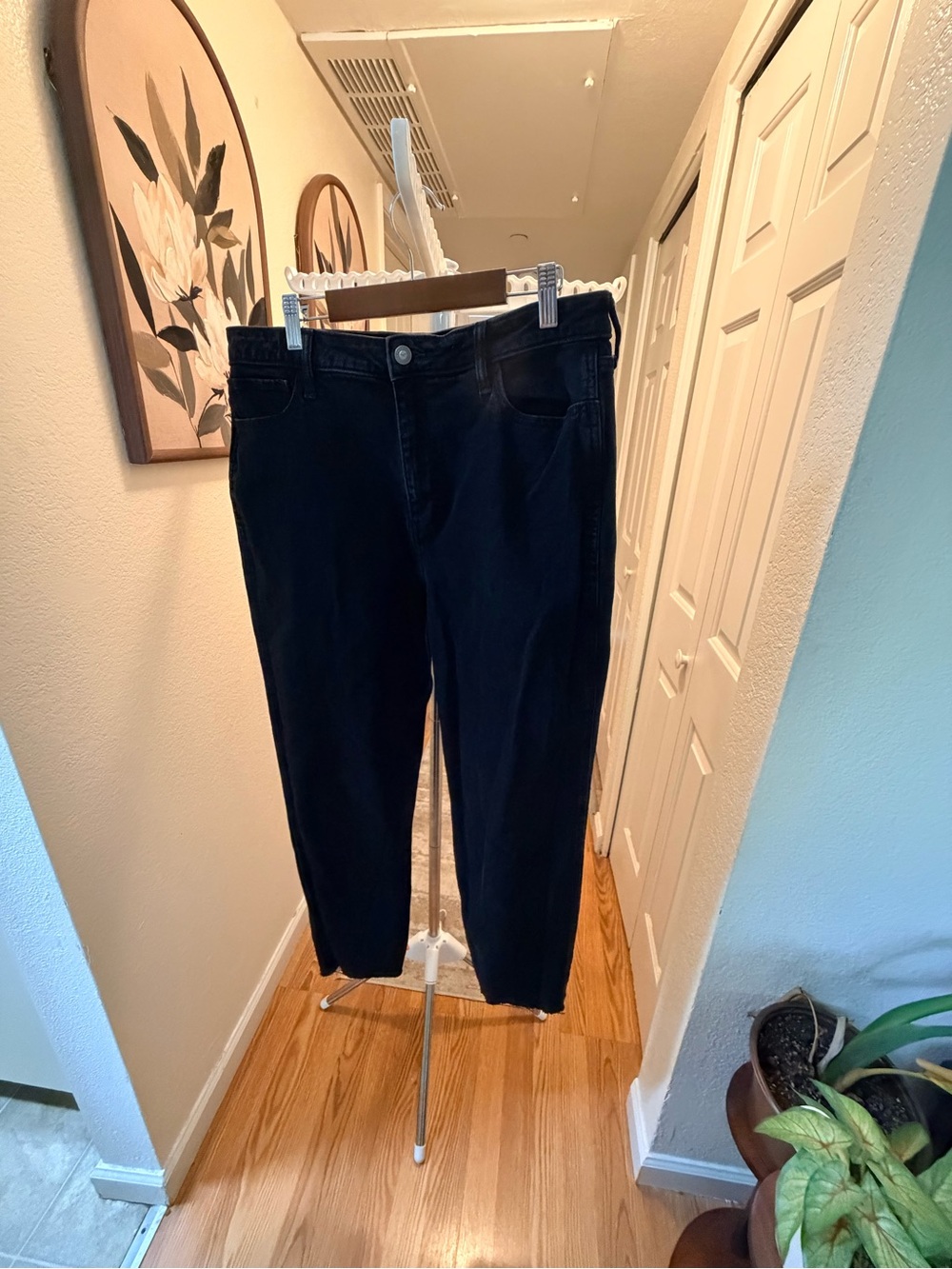 Hollister Black Ankle Crop Jeans